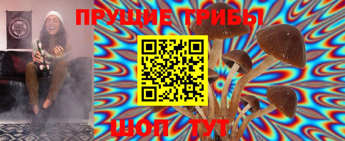 Псилоцибиновые грибы Magic Shrooms  Вход с VPN  Ростов-на-Дону 