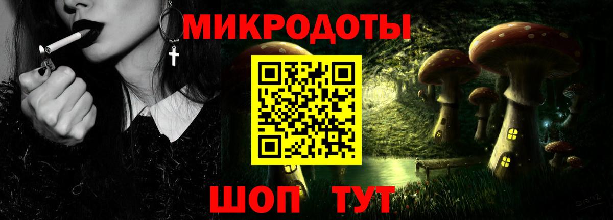 Псилоцибиновые грибы Psilocybe Ростов-на-Дону